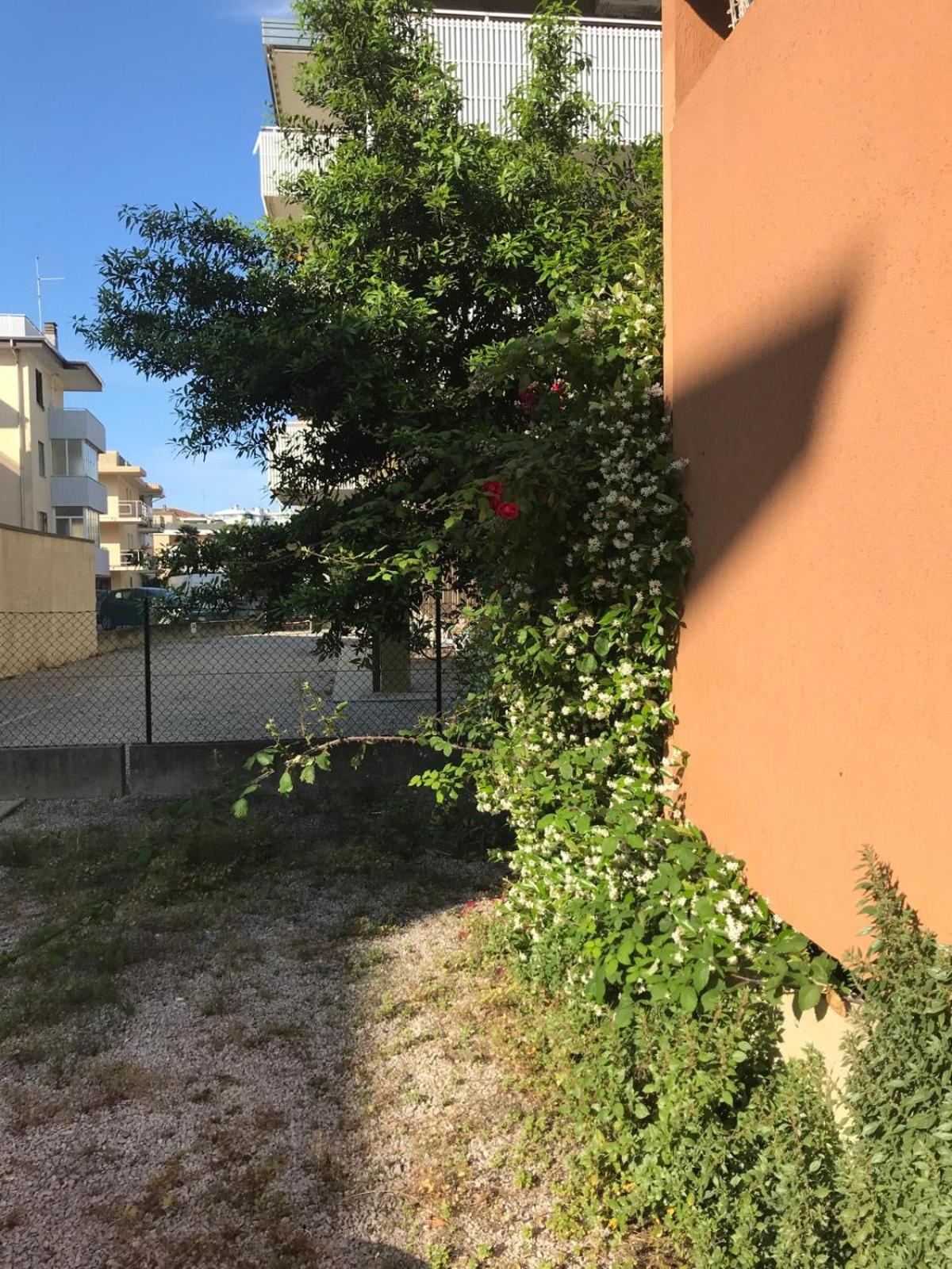 Appartamento Monolocale a Grado Esterno foto